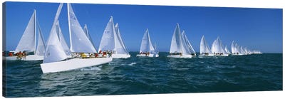Sailboat racing in the ocean, Key West, Florida, USA Canvas Art Print - Key West