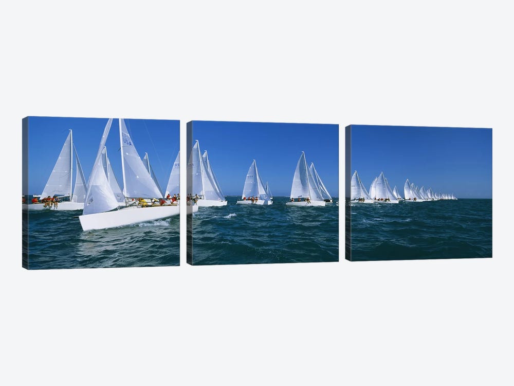 Sailboat racing in the ocean, Key West, Florida, USA by Panoramic Images 3-piece Art Print