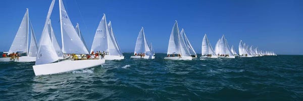 Key West: Sailboat racing in the ocean, Key West, Florida, USA by Panoramic Images