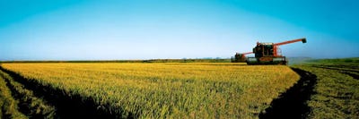 Harvested rice field Glenn Co CA USA by Panoramic Images canvas print