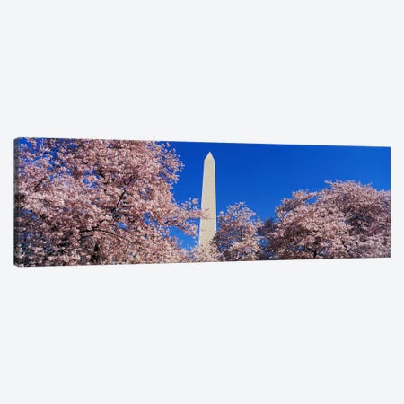 Cherry Blossoms Washington Monument Canvas Print #PIM3279} by Panoramic Images Art Print