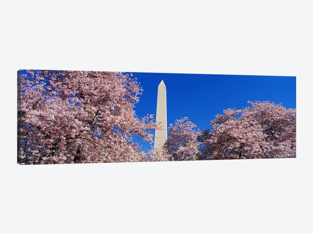 Cherry Blossoms Washington Monument by Panoramic Images 1-piece Canvas Art Print