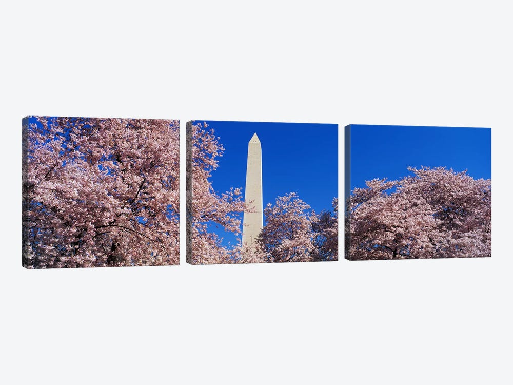 Cherry Blossoms Washington Monument by Panoramic Images 3-piece Canvas Art Print