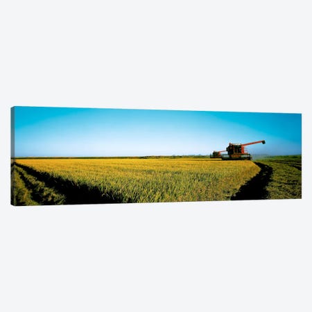 Harvested rice field Glenn Co CA USA Canvas Print #PIM327} by Panoramic Images Canvas Artwork
