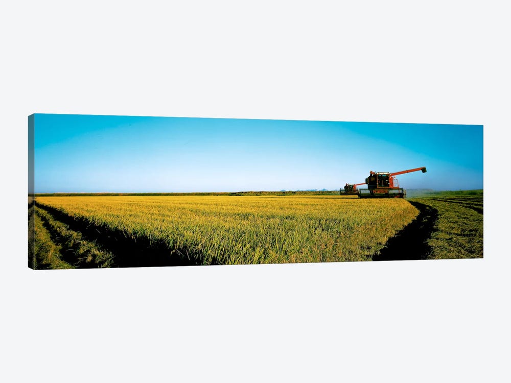 Harvested rice field Glenn Co CA USA by Panoramic Images 1-piece Art Print