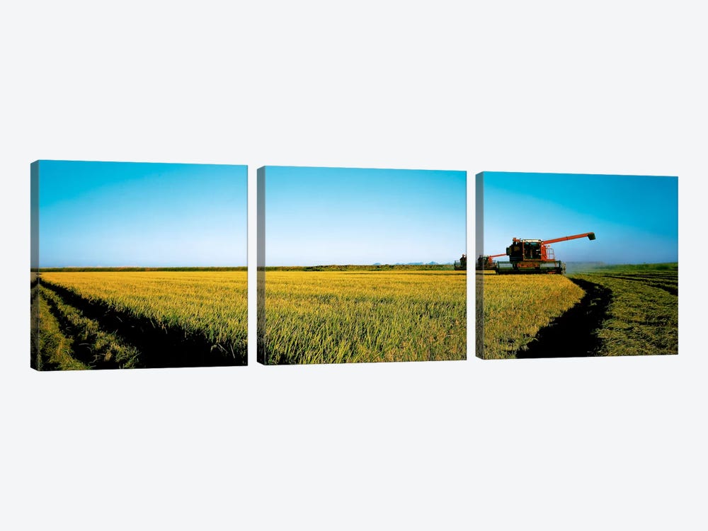 Harvested rice field Glenn Co CA USA by Panoramic Images 3-piece Art Print