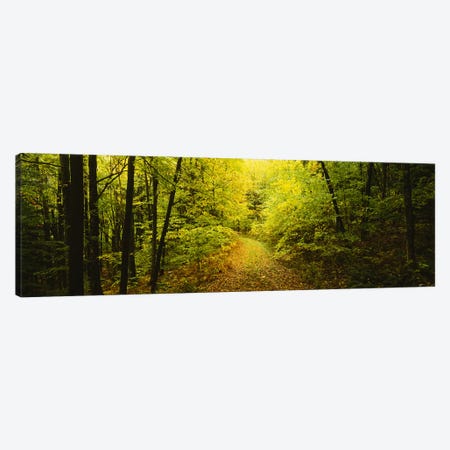 Dirt road passing through a forest, Vermont, USA Canvas Print #PIM3342} by Panoramic Images Canvas Print