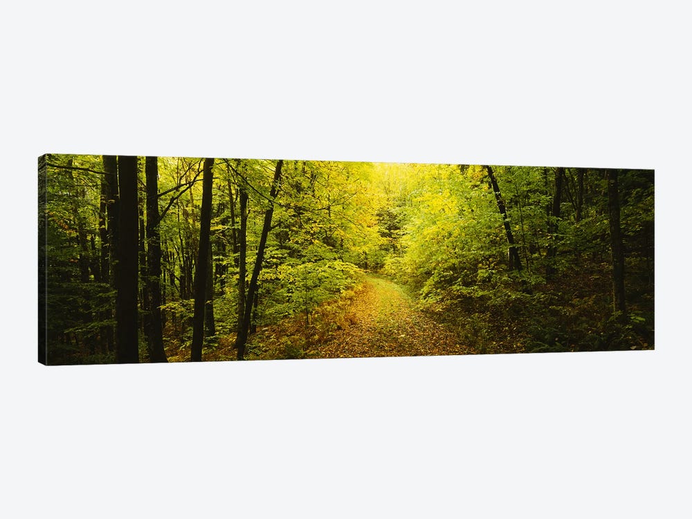 Dirt road passing through a forest, Vermont, USA by Panoramic Images 1-piece Canvas Artwork