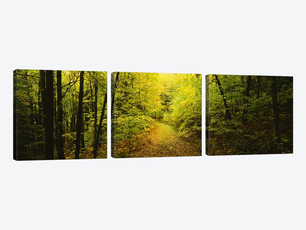 Dirt road passing through a forest, Vermont, USA by Panoramic Images 3-piece Canvas Artwork