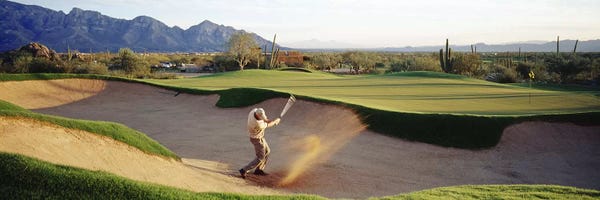 Golf Courses: Side profile of a man playing golf at a golf course, Tucson, Arizona, USA by Panoramic Images