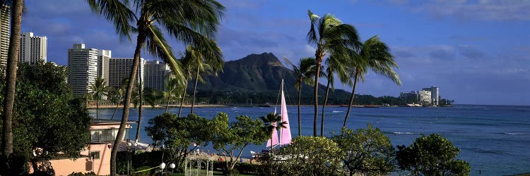 Palm trees on the beach, Diamond Head, Waikiki Beach, Oahu, Honolulu, Hawaii, USA