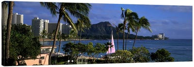 Palm trees on the beach, Diamond Head, Waikiki Beach, Oahu, Honolulu, Hawaii, USA Canvas Art Print - Waikiki