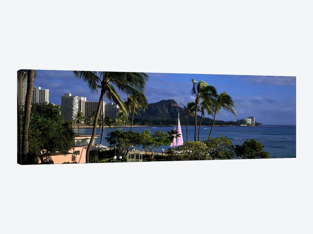 Palm trees on the beach, Diamond Head, Waikiki Beach, Oahu, Honolulu, Hawaii, USA by Panoramic Images 1-piece Canvas Print