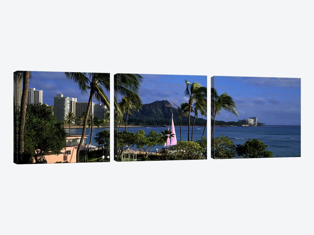 Palm trees on the beach, Diamond Head, Waikiki Beach, Oahu, Honolulu, Hawaii, USA by Panoramic Images 3-piece Canvas Print