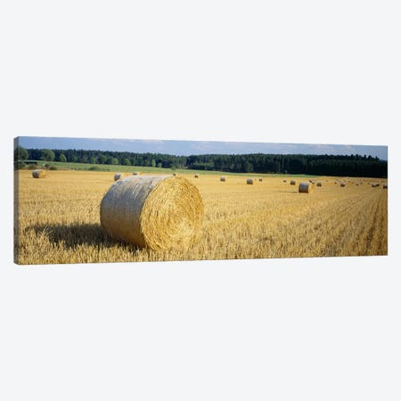 Bales of Hay Southern Germany Canvas Print #PIM3414} by Panoramic Images Canvas Artwork