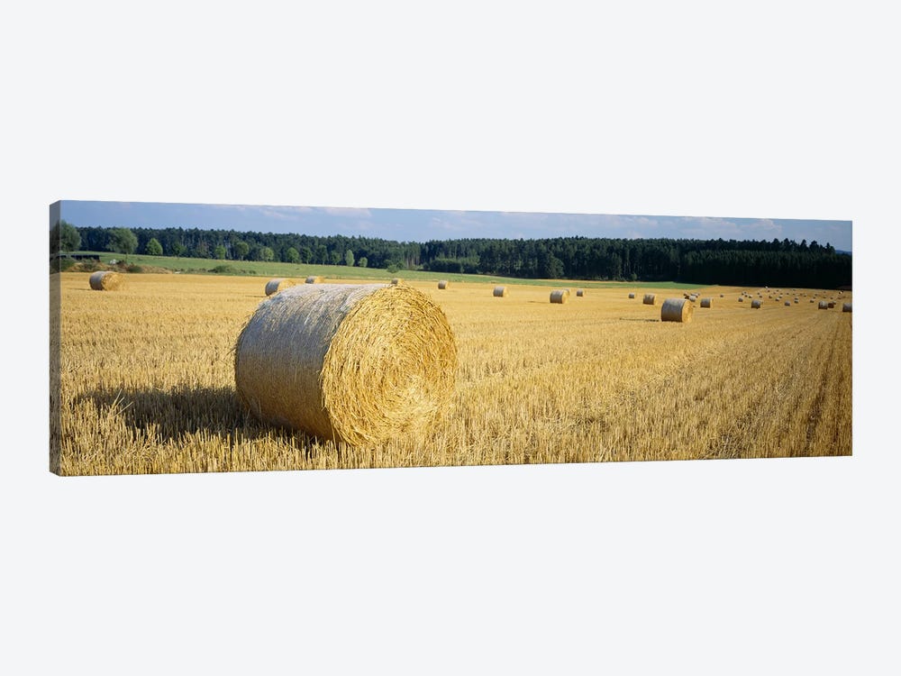 Bales of Hay Southern Germany by Panoramic Images 1-piece Canvas Wall Art