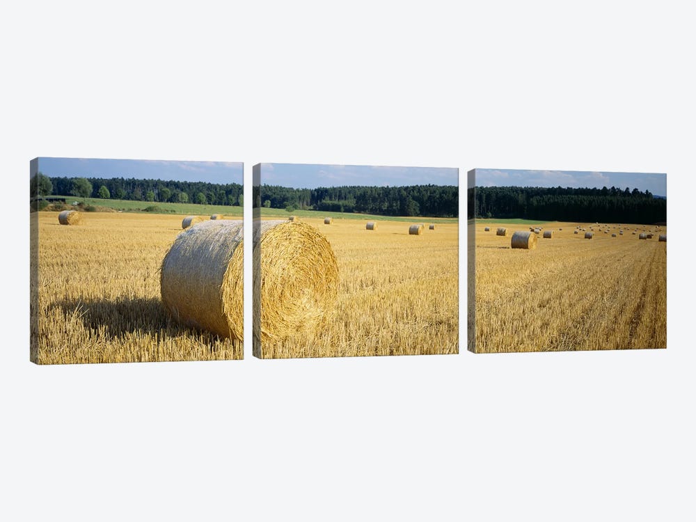 Bales of Hay Southern Germany by Panoramic Images 3-piece Canvas Art