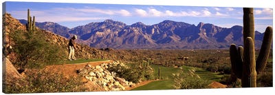 Golf Course Tucson AZ Canvas Art Print - Golf Art