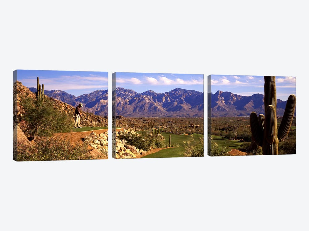 Golf Course Tucson AZ by Panoramic Images 3-piece Canvas Art Print