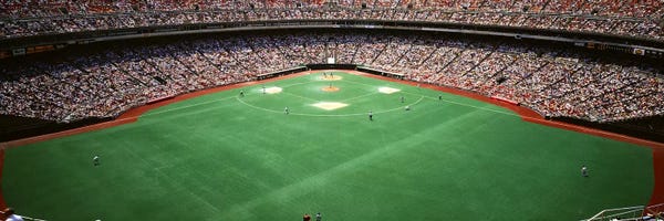 Pennsylvania: Spectator Watching A Baseball Game II, Veterans Stadium, Philadelphia, Pennsylvania, USA by Panoramic Images