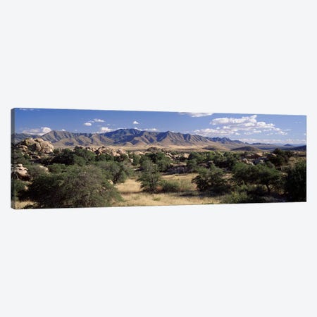 Dragoon Mountains, Texas Canyon, Coronado National Forest, Arizona, USA Canvas Print #PIM3478} by Panoramic Images Canvas Print