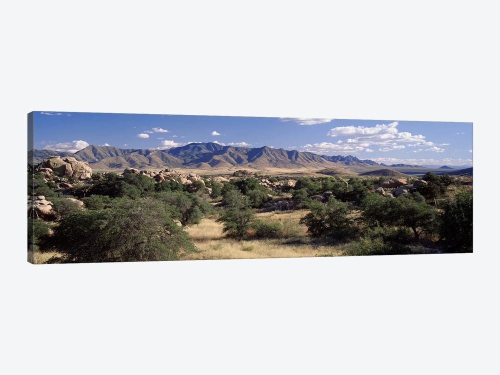 Dragoon Mountains, Texas Canyon, Coronado National Forest, Arizona, USA by Panoramic Images 1-piece Canvas Artwork