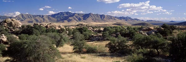 Arizona: Dragoon Mountains, Texas Canyon, Coronado National Forest, Arizona, USA by Panoramic Images