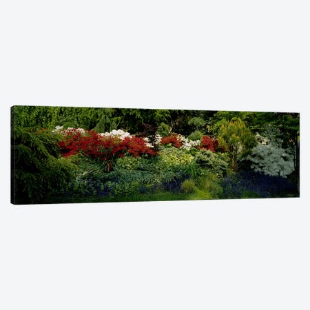High Angle View Of Flowers In A Garden, Baltimore, Maryland, USA Canvas Print #PIM3479} by Panoramic Images Canvas Art Print