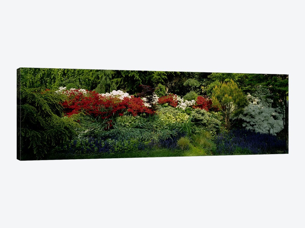 High Angle View Of Flowers In A Garden, Baltimore, Maryland, USA by Panoramic Images 1-piece Canvas Print