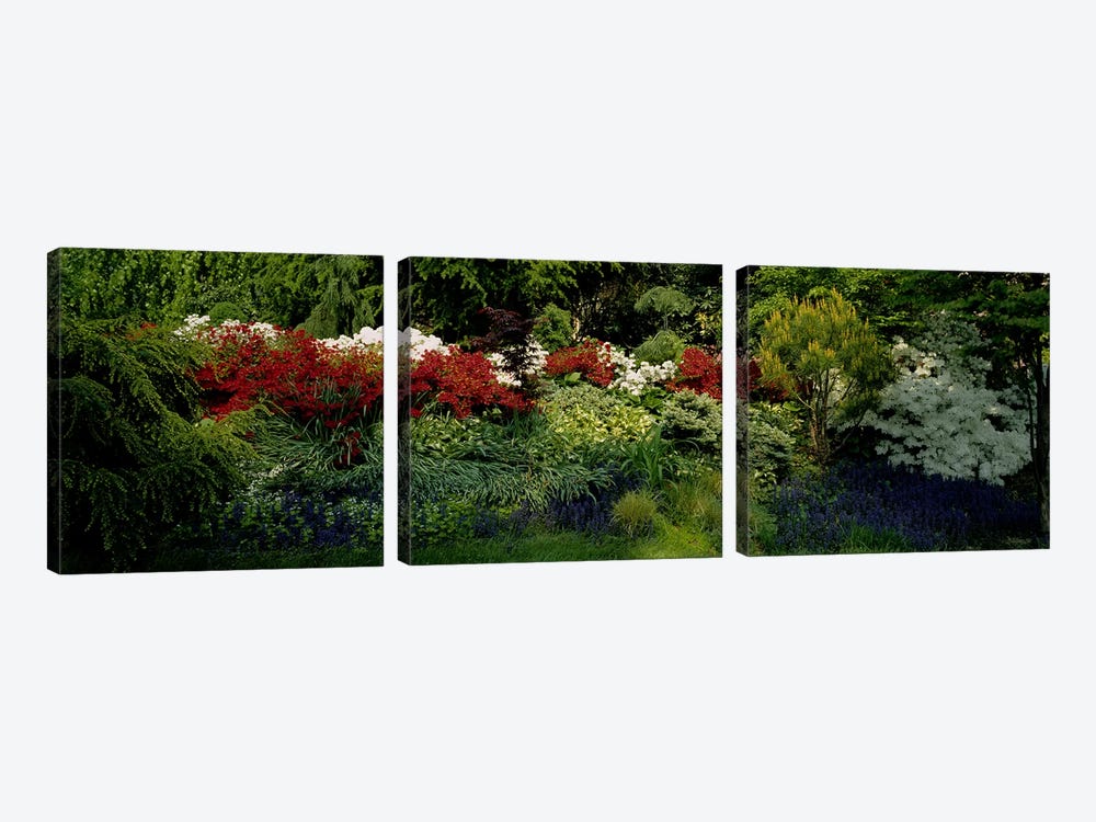 High Angle View Of Flowers In A Garden, Baltimore, Maryland, USA by Panoramic Images 3-piece Canvas Print