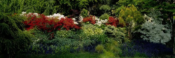 Maryland: High Angle View Of Flowers In A Garden, Baltimore, Maryland, USA by Panoramic Images