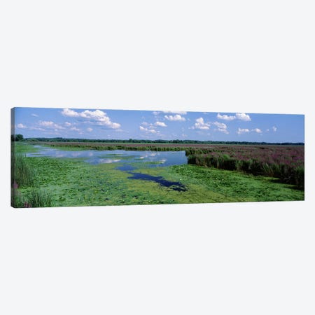 Marsh Landscape, Montezuma National Wildlife Refuge, Seneca County, New York, USA Canvas Print #PIM3499} by Panoramic Images Canvas Art Print
