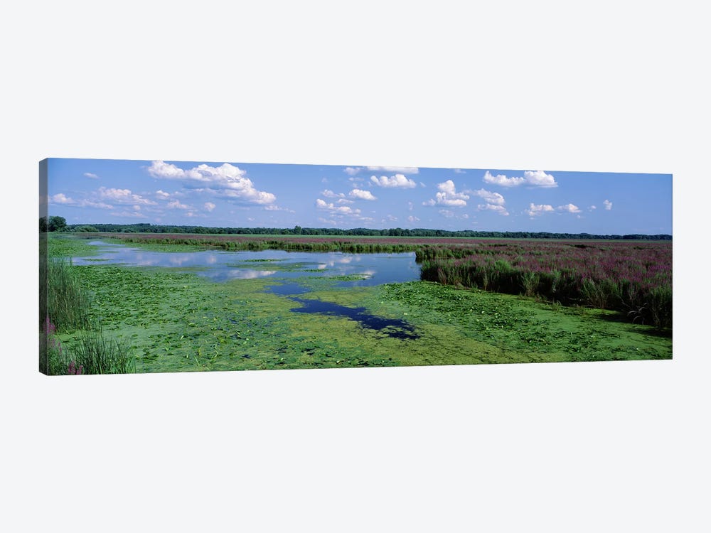 Marsh Landscape, Montezuma National Wildlife Refuge, Seneca County, New York, USA by Panoramic Images 1-piece Canvas Print
