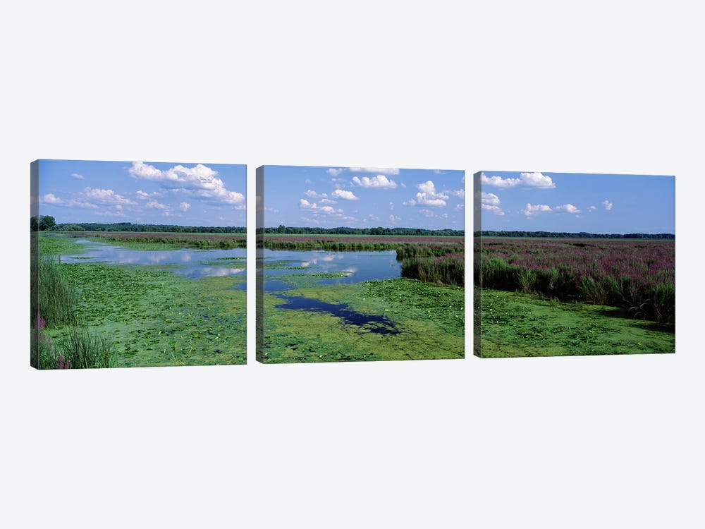 Marsh Landscape, Montezuma National Wildlife Refuge, Seneca County, New York, USA by Panoramic Images 3-piece Canvas Art Print