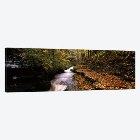 Gorge Trail, Buttermilk Falls State Park, Ithaca, New York, USA Canvas Print #PIM3513} by Panoramic Images Canvas Wall Art
