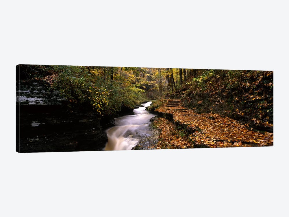 Gorge Trail, Buttermilk Falls State Park, Ithaca, New York, USA by Panoramic Images 1-piece Canvas Art