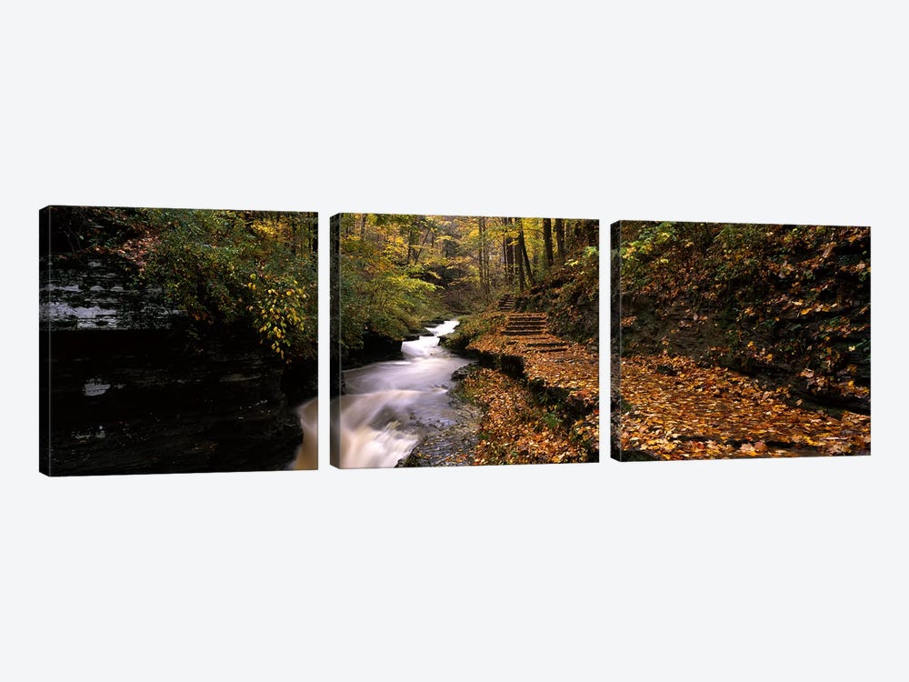 Gorge Trail, Buttermilk Falls State Park, Ithaca, New York, USA by Panoramic Images 3-piece Canvas Art
