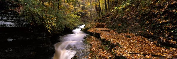 New York: Gorge Trail, Buttermilk Falls State Park, Ithaca, New York, USA by Panoramic Images