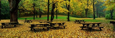 Robert Treman State Park New York State, USA by Panoramic Images acrylic art print