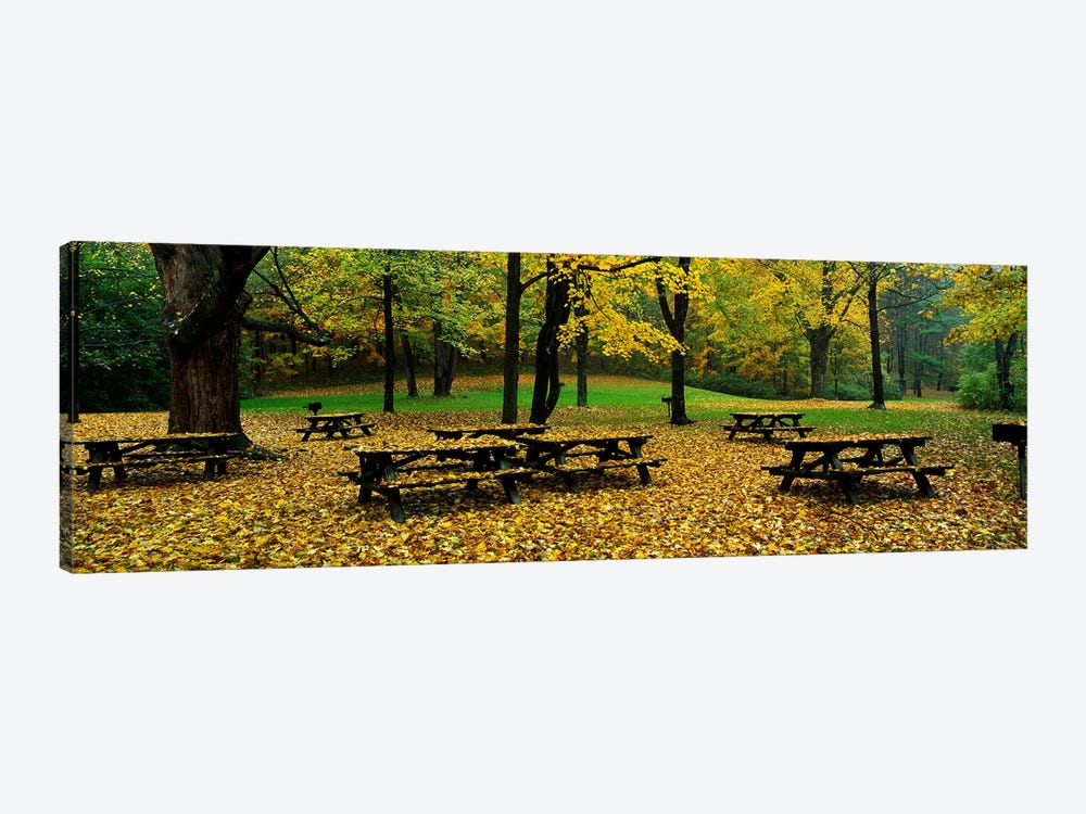 Robert Treman State Park New York State, USA by Panoramic Images 1-piece Art Print