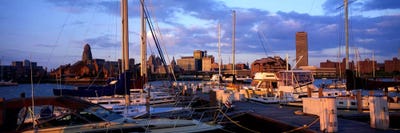 Buffalo NY by Panoramic Images framed canvas print