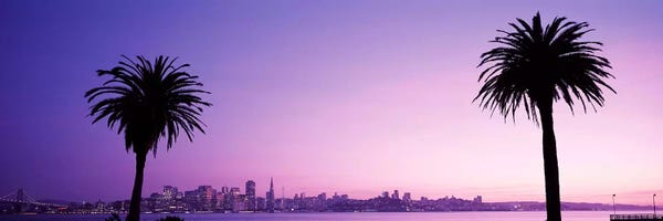 San Francisco, California, USA #2