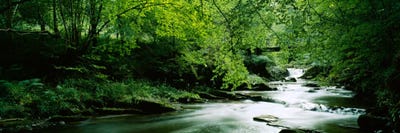 A Flowing River, Aberfeldy, Perthshire, County Of Perth, Scotland, United Kingdom by Panoramic Images canvas print