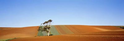 Australia by Panoramic Images canvas print