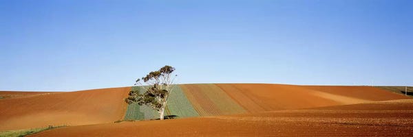 Australia: Australia by Panoramic Images
