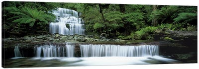 Liffey Falls, Tasmania, Australia Canvas Art Print - Waterfall Art