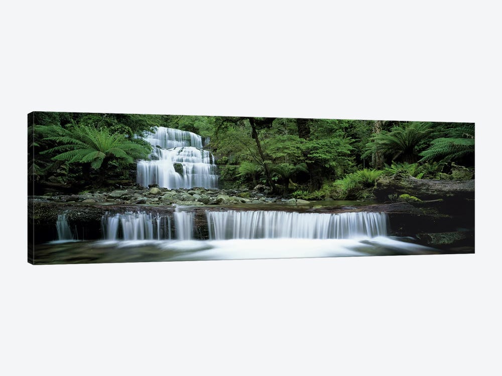 Liffey Falls, Tasmania, Australia by Panoramic Images 1-piece Art Print