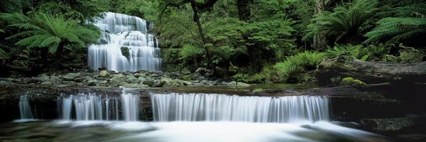 Waterfalls: Liffey Falls, Tasmania, Australia by Panoramic Images