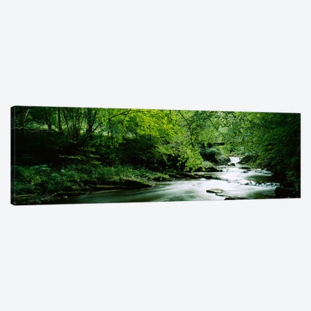 A Flowing River, Aberfeldy, Perthshire, County Of Perth, Scotland, United Kingdom Canvas Print #PIM354} by Panoramic Images Canvas Art Print
