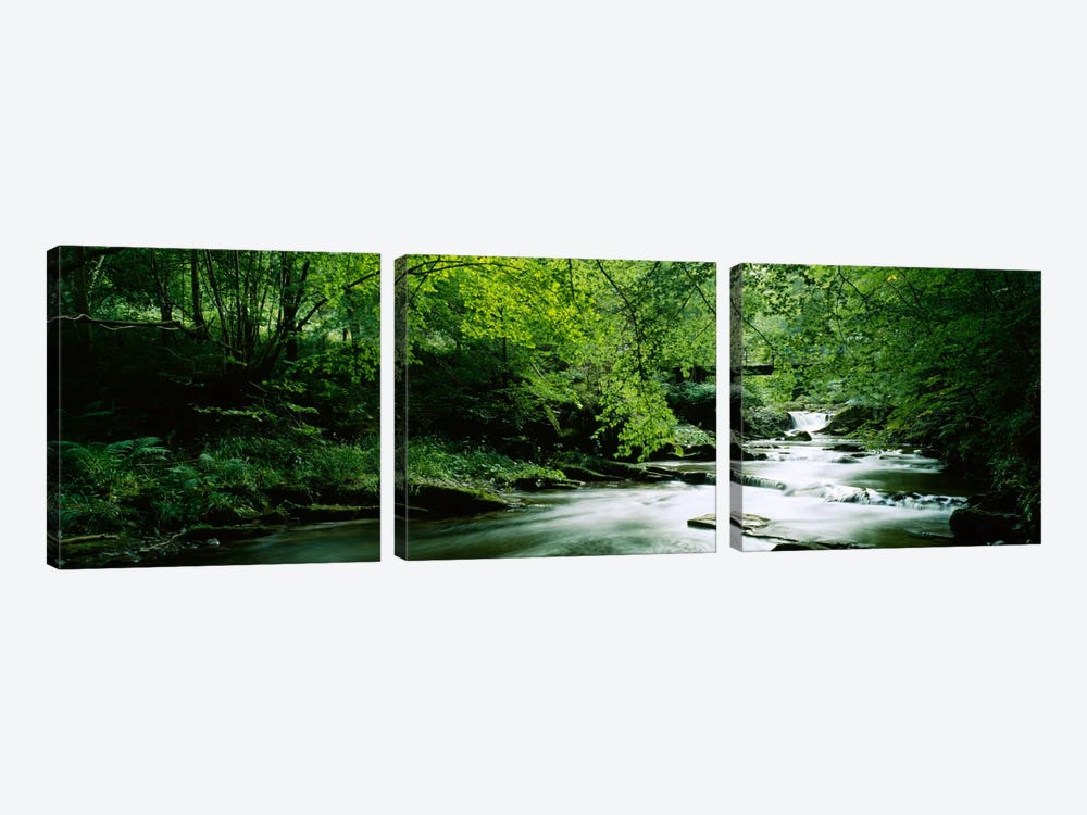 A Flowing River, Aberfeldy, Perthshire, County Of Perth, Scotland, United Kingdom by Panoramic Images 3-piece Canvas Art Print